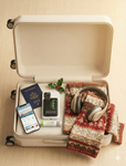 5 Tips for Staying Charged During Holiday Travel